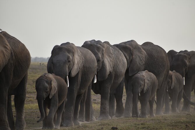 06 Days Kenya LuxuryLodge Safari - Day 3 onward to Lake Nakuru: scenic highway stops and early viewing