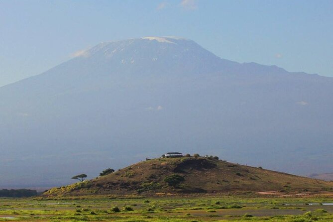 1-Day Amboseli Safari - Group safari logistics: shared transport, shared drive, and how to handle it