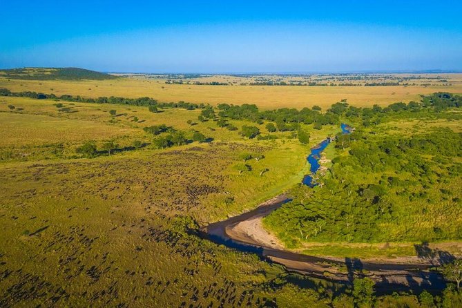 1-Day Maasai Mara Safari - Maasai village cultural encounter, what to expect and what costs extra