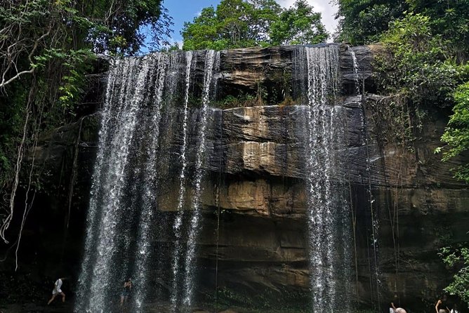 1 day Shimba hills - Key highlights you’ll feel right away