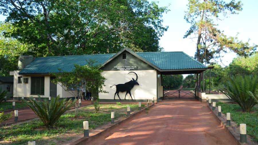1 day Shimba Hills Tour - Marere Dam, casuarina forests, and why wildlife spotting feels different here