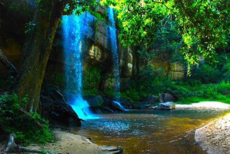 1 day Shimba Hills Tour - Guide language and expectations: what you can count on