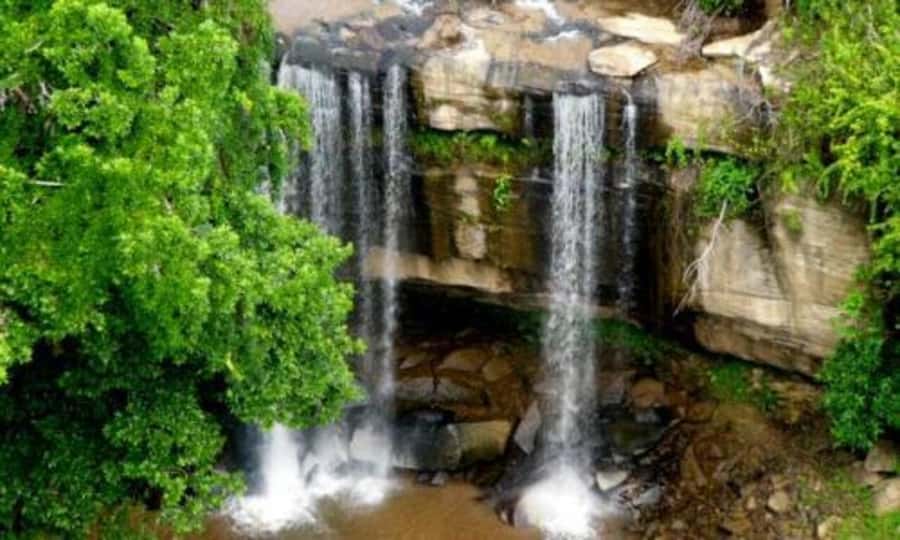 1 day Shimba Hills Tour - The 11:00 ranger escort to Sheldrick Falls, plus the swim break