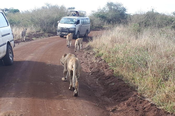 1 Day Tour Nairobi National Park,Giraffe Center&Karen Blixen - Nairobi National Park: Skyline, Plain, and Big-Wildlife Chances in About 4 Hours