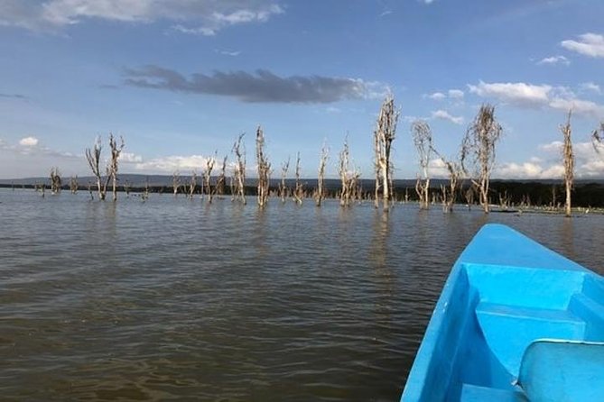 1 Day trip to Hells Gate and Lake Naivasha From Nairobi - What the $110 Covers, and What Costs Extra
