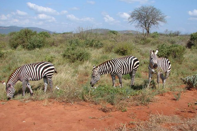 1-Day Tsavo East Safari From Mombasa - Key Highlights You Will Care About