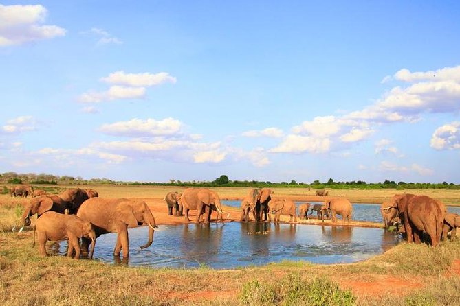1-Day Tsavo East Safari From Mombasa - Tsavo East National Park: What You Are Really Searching For