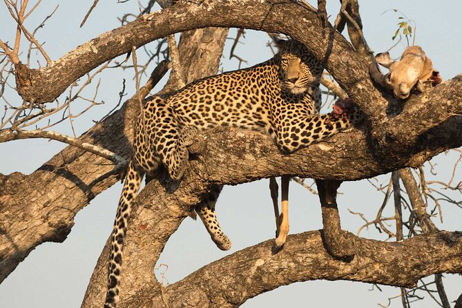 1 Day Tsavo East Safari ( Minimum 2 Pax) - Morning logistics: the 5:00am start and the road to Tsavo