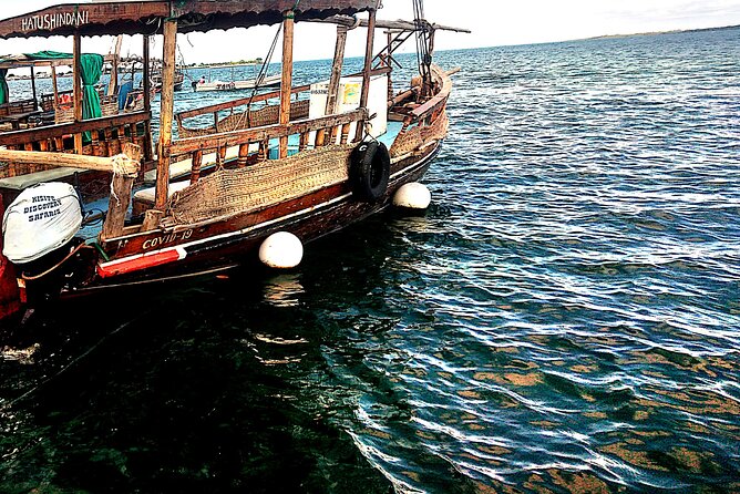 1 day wasini island ( Kisite Marine park) - Key things to know before you go