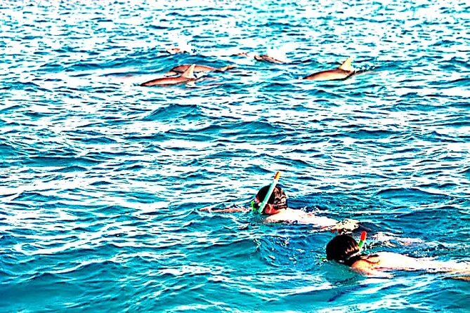 1 day wasini island ( Kisite Marine park) - Kisite-Mpunguti Marine National Park snorkeling: coral, fish, turtles