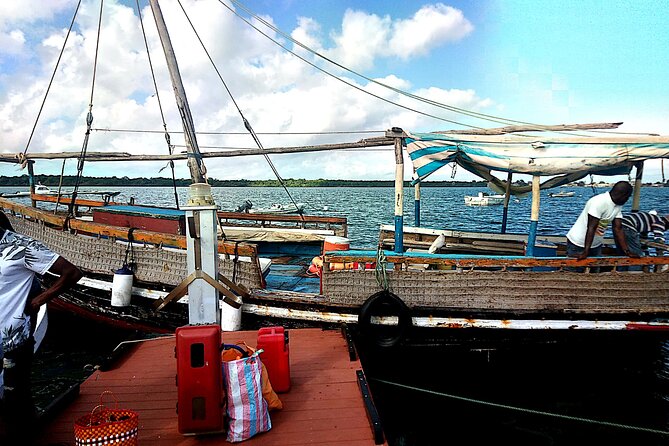 1 day wasini island ( Kisite Marine park) - The dolphin search: how you maximize your one-hour window