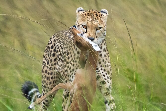 10-Day Private Tour in Big Five Safari and Beaches - Tsavo National Park: the red-elephant angle and a longer wildlife day