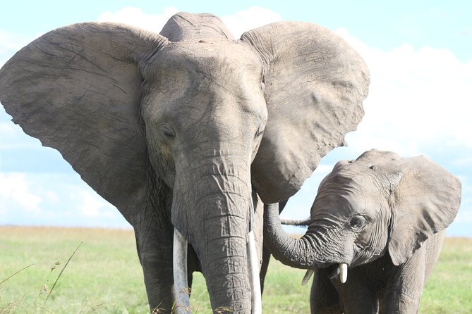 10 -Days Best of Kenya and Tanzania Classic Safari - Serengeti Check-In to First Game Drive at Acacia Central Camp
