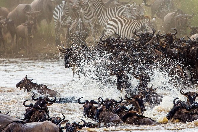 11-Days Best of Kenya & Tanzania Big 5 Safari on a 4x4 Jeep - Key points that make this safari worth your attention