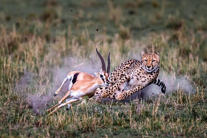 11-Days Best of Kenya & Tanzania Big 5 Safari on a 4x4 Jeep - Why this Kenya and Tanzania Big 5 route makes sense