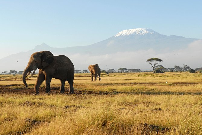 11-Days Best of Kenya & Tanzania Big 5 Safari on a 4x4 Jeep - Hell’s Gate and Lake Naivasha: mini safari plus an evening boat
