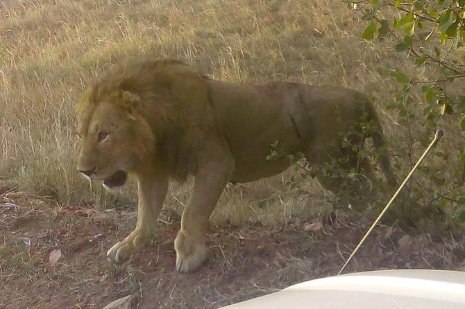 11 Days Guided Group Safari in Kenya And Tanzania - The Big Idea: Why This Kenya and Tanzania Circuit Feels Efficient