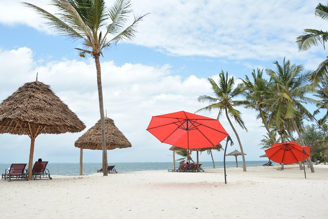 11-Days Kenya Zanzibar Safari - Amboseli Day 3 to Day 4: Kilimanjaro Hopes, Elephants, and Mzima Springs