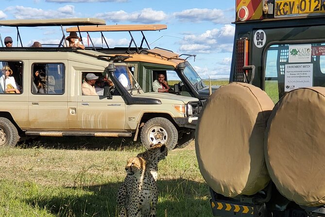 11 Days Private Tour to Explore Amboseli and Samburu - Price and logistics: what $5,000 per person buys you