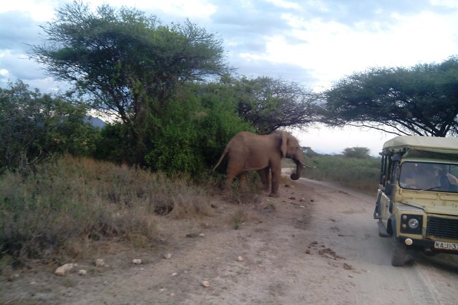 12 Days Kenya and Tanzania Budget Private Safari from Nairobi - Price and what makes it feel like a budget private safari