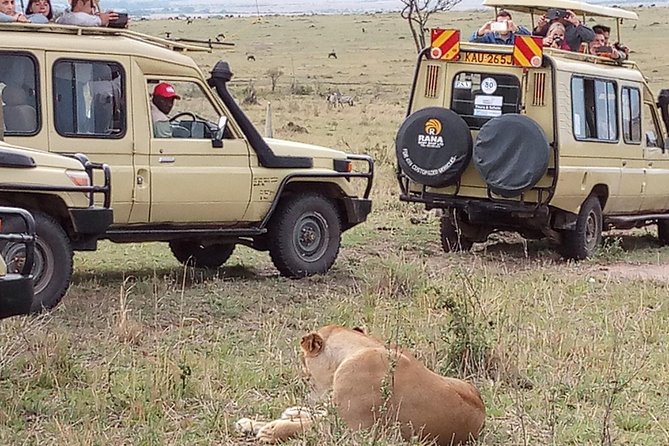 12 Days Kenya and Tanzania Budget Private Safari from Nairobi - Maasai Mara full-day drives, Mara River focus, and a real culture visit