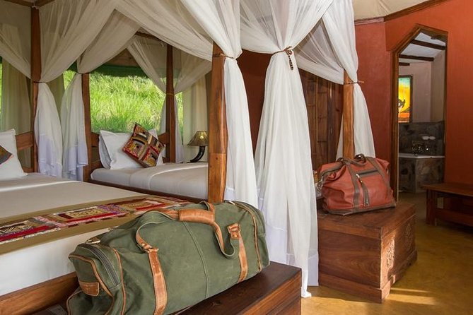 12 days Kenya and Tanzania safari private lodge from Nairobi - Day 3 Lake Nakuru: aiming for the black rhino