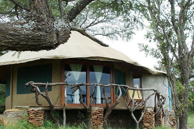 12 days Kenya and Tanzania safari private lodge from Nairobi - Day 7 Serengeti full day: morning and afternoon drives on the migration stage