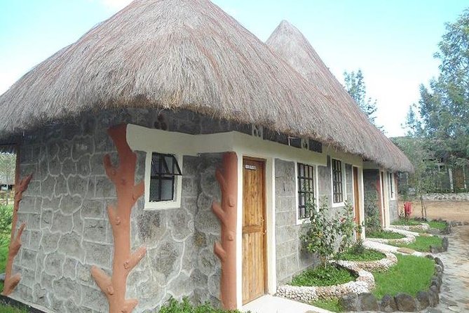 12 days Kenya and Tanzania safari private lodge from Nairobi - Day 8 Ngorongoro Crater: one descent, a concentrated animal day