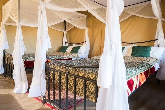 12 Days Kenya & Tanzania Safari Private Lodge Safari from Nairobi - Masai Mara: Mara River Time, Big Five Searching, and Optional Extras