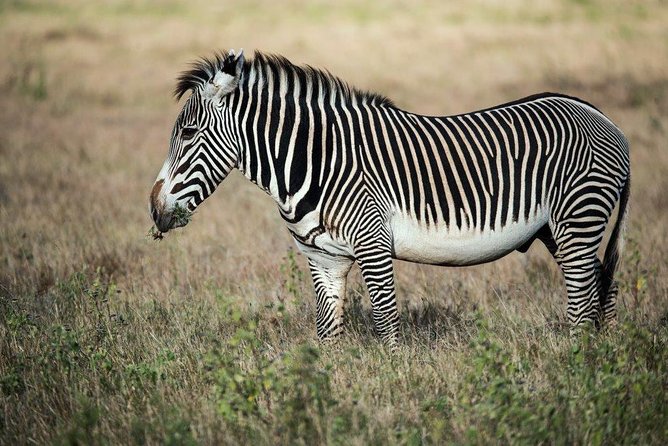 12 Days Kenya Tanzania wildlife Joining Tour - Ngorongoro Crater: one descent, many possibilities