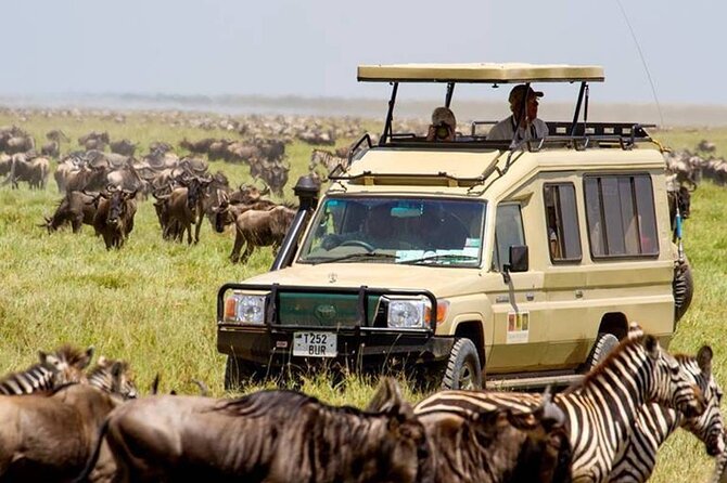 13 Days Best of Kenya and Tanzania BudgetSafari - Key highlights you should care about