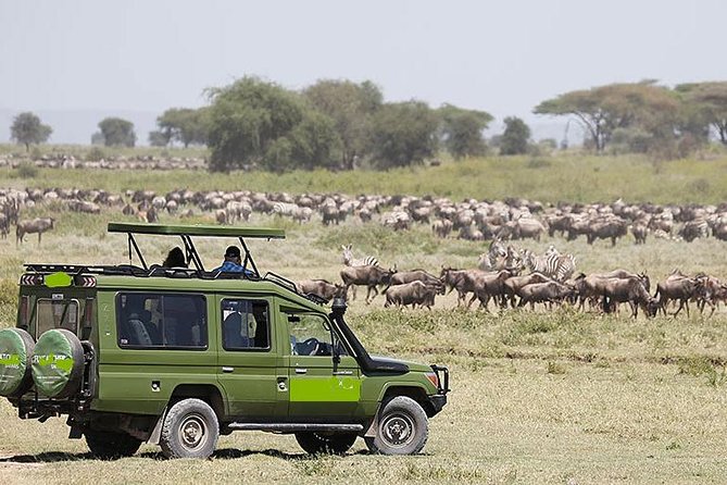 14-Days Kenya and Tanzania Camping Safari from Nairobi - Lake Nakuru National Park: early driving, then a late-afternoon arrival