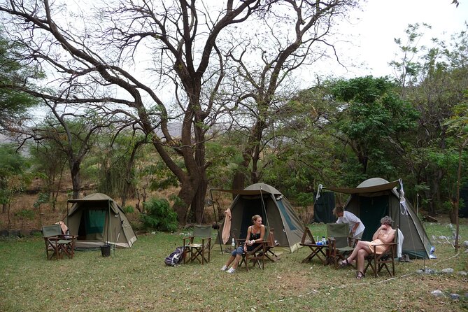 14-Days Kenya and Tanzania Camping Safari from Nairobi - From Nairobi to Arusha: switching countries without losing momentum