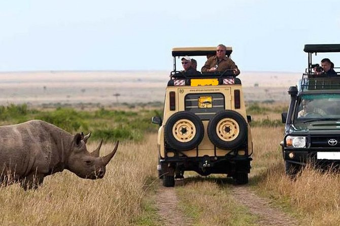 14-Days Kenya and Tanzania Camping Safari from Nairobi - Maasai Mara National Reserve: two full days chasing the Big Five