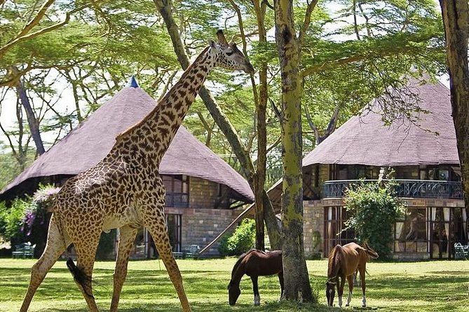15 Days Classic Kenya & Tanzania + Zanzibar Beach Holiday - Lake Naivasha and Hells Gate, Easy Nature Day With Activity Options