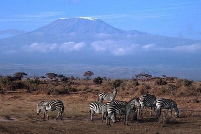 15 Days Classic Kenya & Tanzania + Zanzibar Beach Holiday