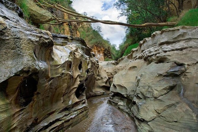 15 Days Classic Kenya & Tanzania + Zanzibar Beach Holiday - Ngorongoro Conservation Area, Crater Day Done Right