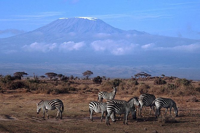 15 Days Classic Kenya & Tanzania + Zanzibar Beach Holiday - First Stop in Nairobi, Giraffe Centre and a Soft Landing