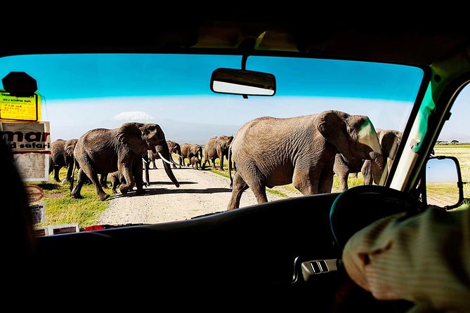 2-Day Amboseli National Park Safari- Daily Departures - Key Highlights You’ll Actually Care About