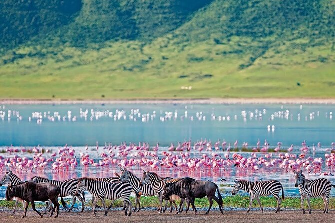 2-Day Hell's Gate, Crescent Island and Nakuru - Private Safari - Key highlights to know before you go