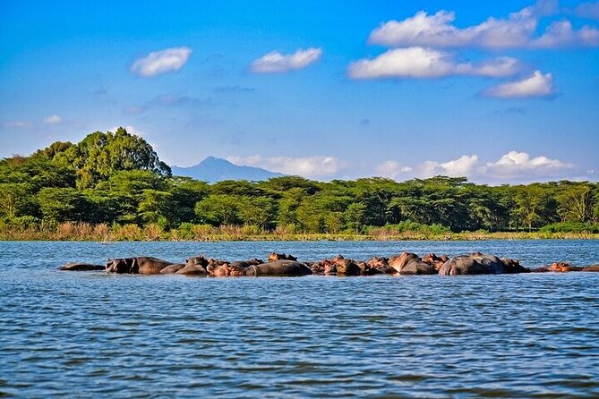 2-Day Hell's Gate, Crescent Island and Nakuru - Private Safari - Hell’s Gate National Park: cycle, hike, and look for wildlife in a gorge system