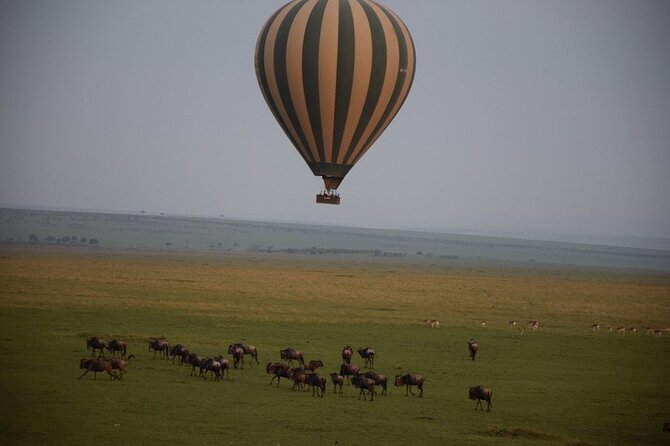 2-Day Private Tour in Masai Mara with Pick Up - Day 2 return to Nairobi: Longonot facts, plus optional Naivasha or tea farm stops