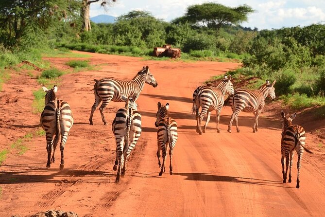 2-Day Private Tour in Tsavo East - Mombasa pickup and the 7:00 am start that shapes everything