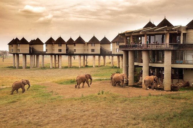2-Day Safari in Taita Hills from Mombasa - Afternoon Shift to Taita Hills: Salt Lick Lodge on Stilts Above the Water