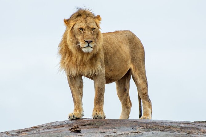 2-Day Tsavo East Private Tour - Key Highlights You’ll Feel in This 2-Day Tsavo East Safari