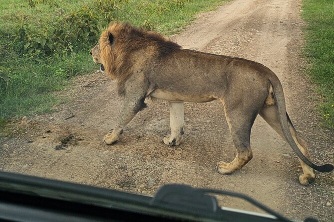 2 Days 1 Night Amboseli National Park Private Safari. - Day 2: 7:00 am departure, sunrise game drive, and Observation Hill