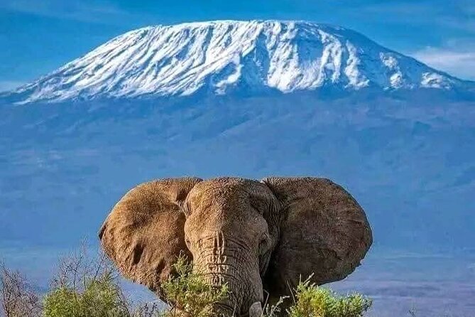 2 Days 1 Night Amboseli National Park Private Safari. - Price and value for a 2-day private safari from Nairobi