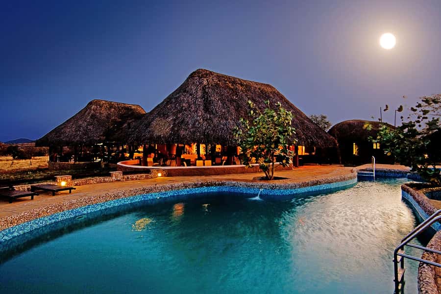 2 Days 1 Night Amboseli Safari - Key highlights to look for