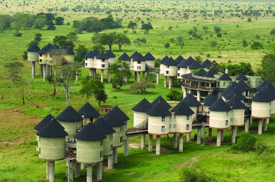 2 days 1 night saltlick safari from Diani/Mombasa - Price and value at about $650 per person