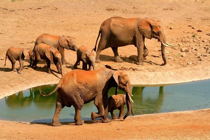 2 Days (1 night); Tsavo East & Saltlick Safari: - Key things to know before you go